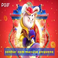 sonhar com macaco pequeno